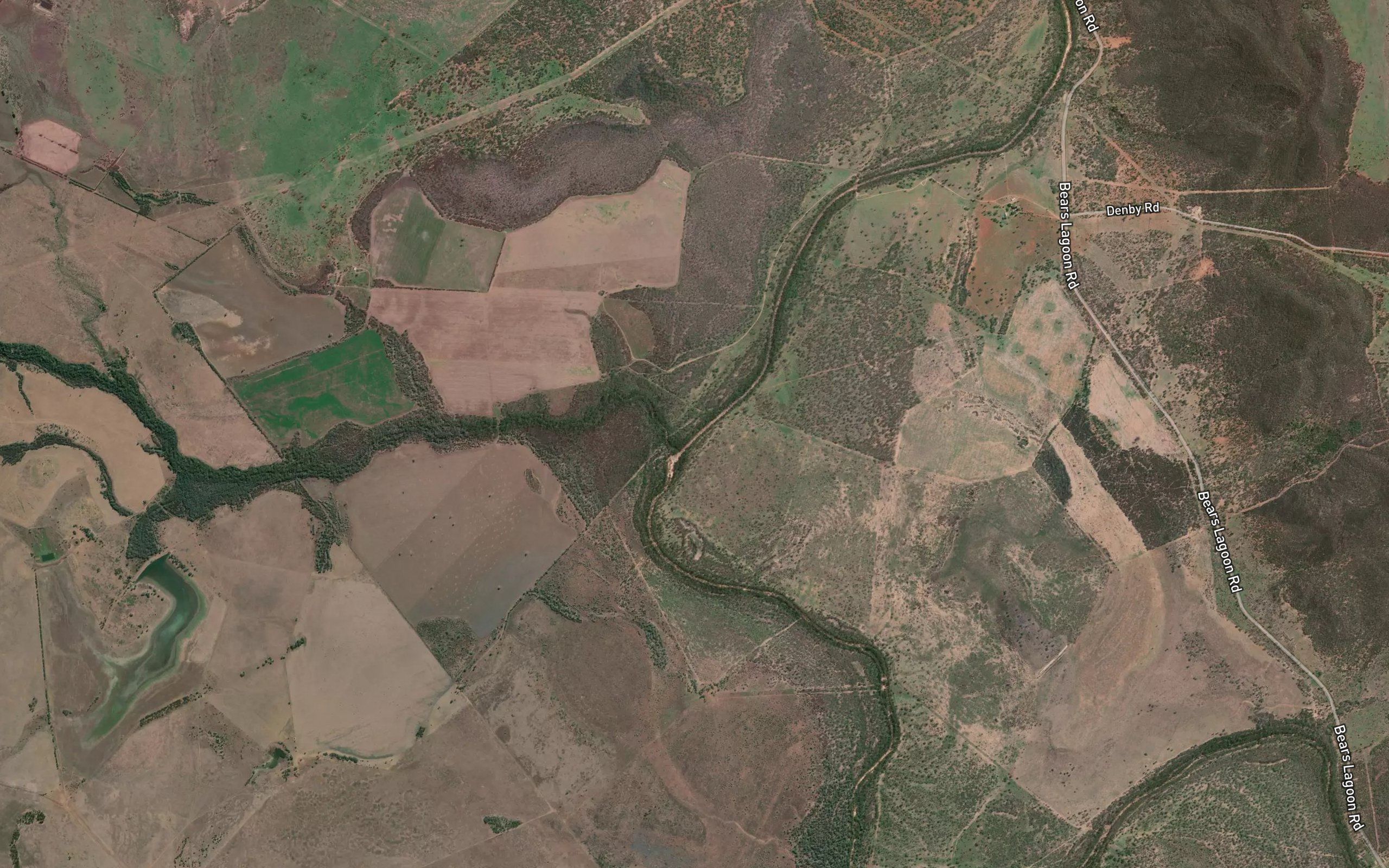 Zamia Creek