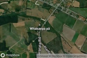 Selwyn River/Waikirikiri