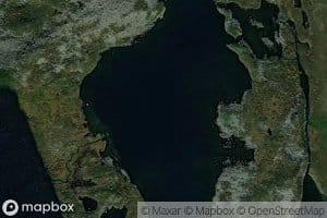 Nervannet