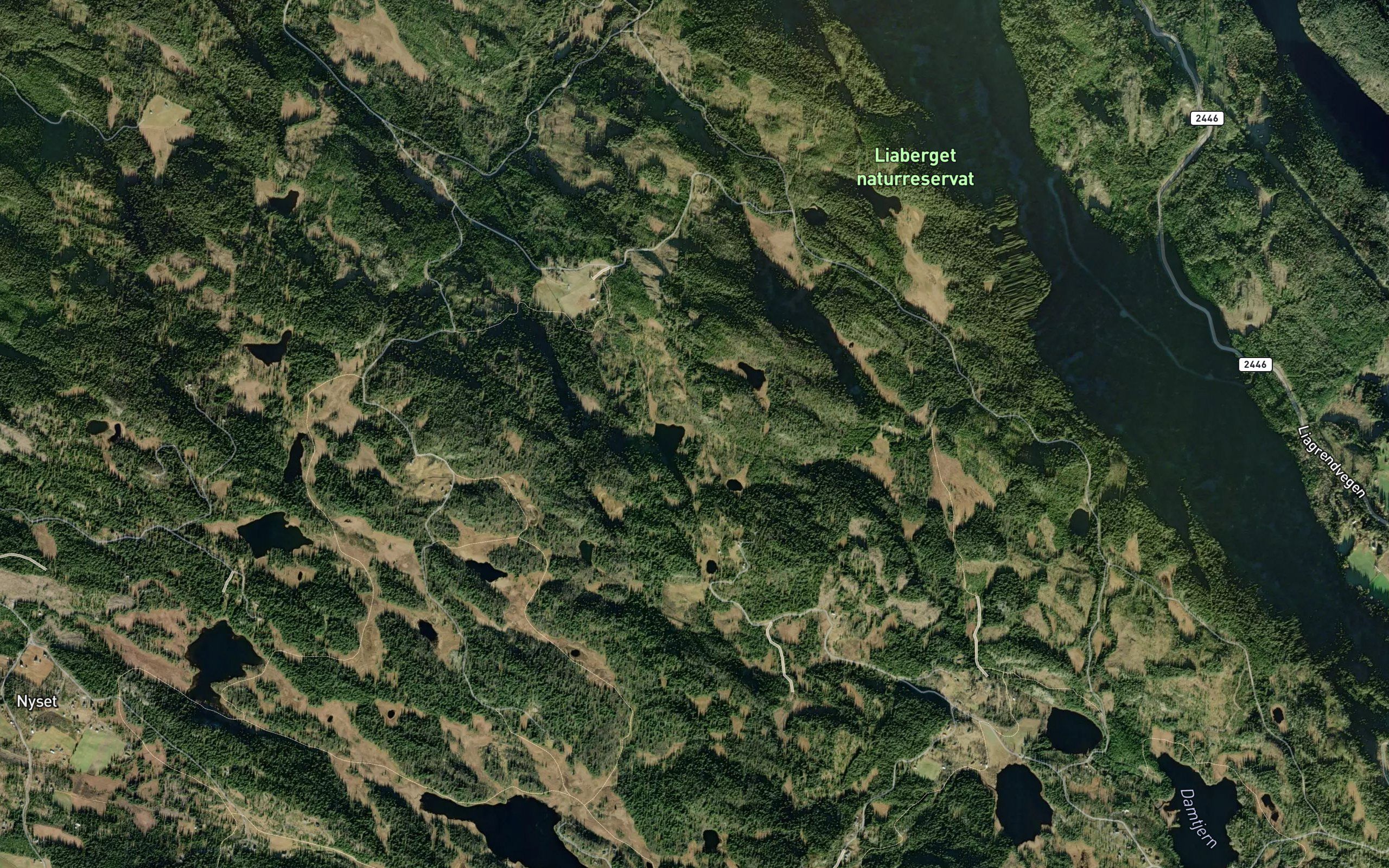 Torkjellstoltjednet