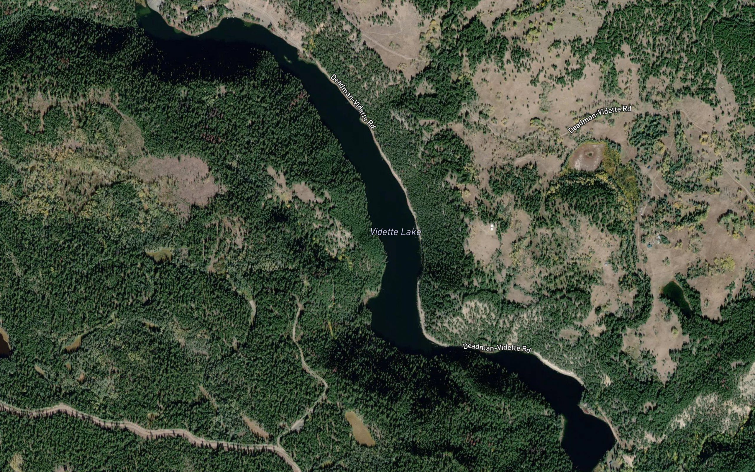 Vidette Lake
