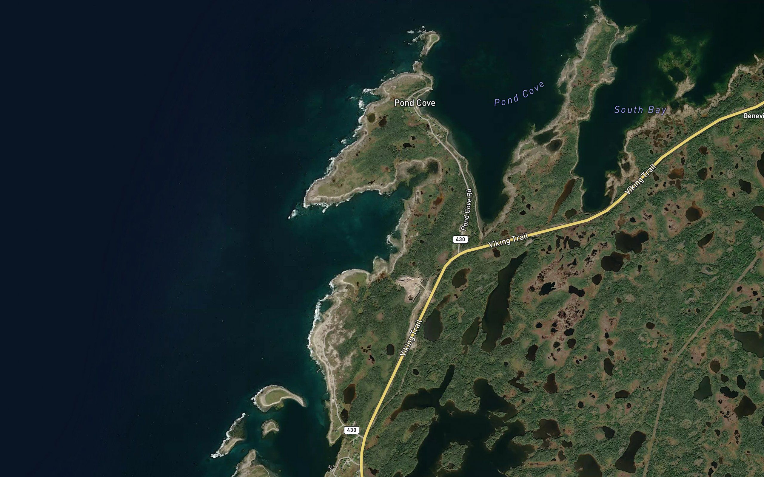 Seal Cove