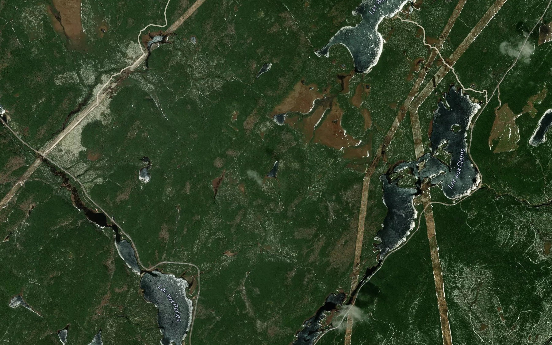 Satellite map of the Lac de la Bottine