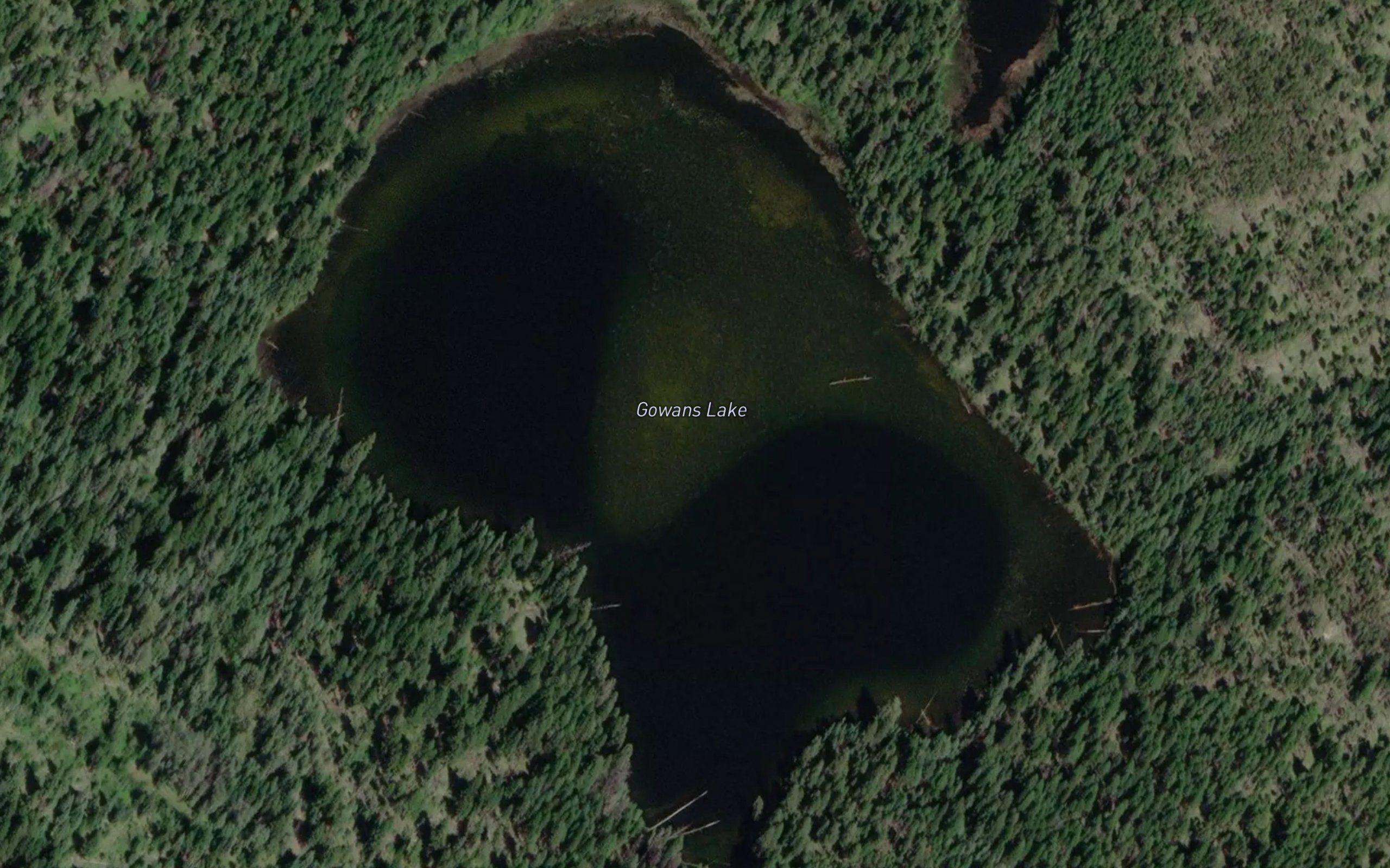Gowans Lake