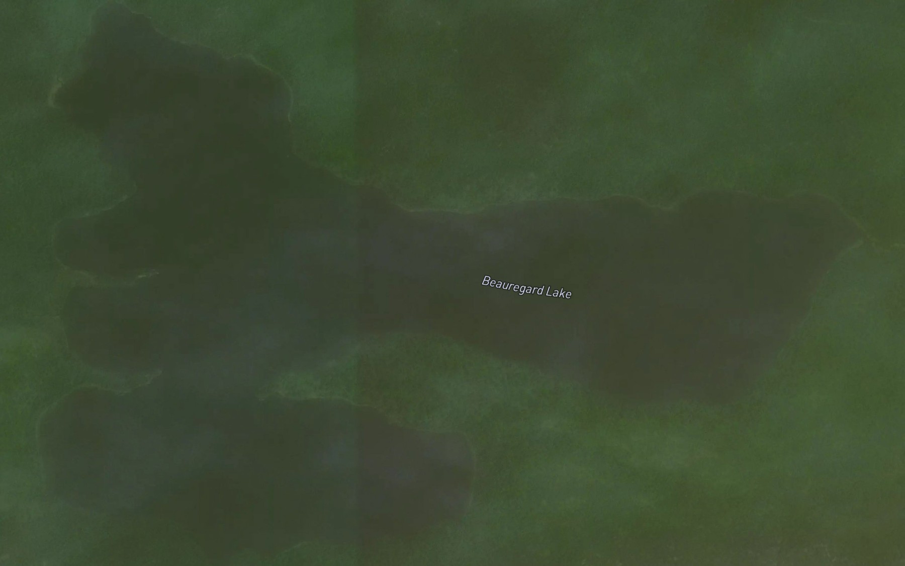 Satellite map of the Beauregard Lake