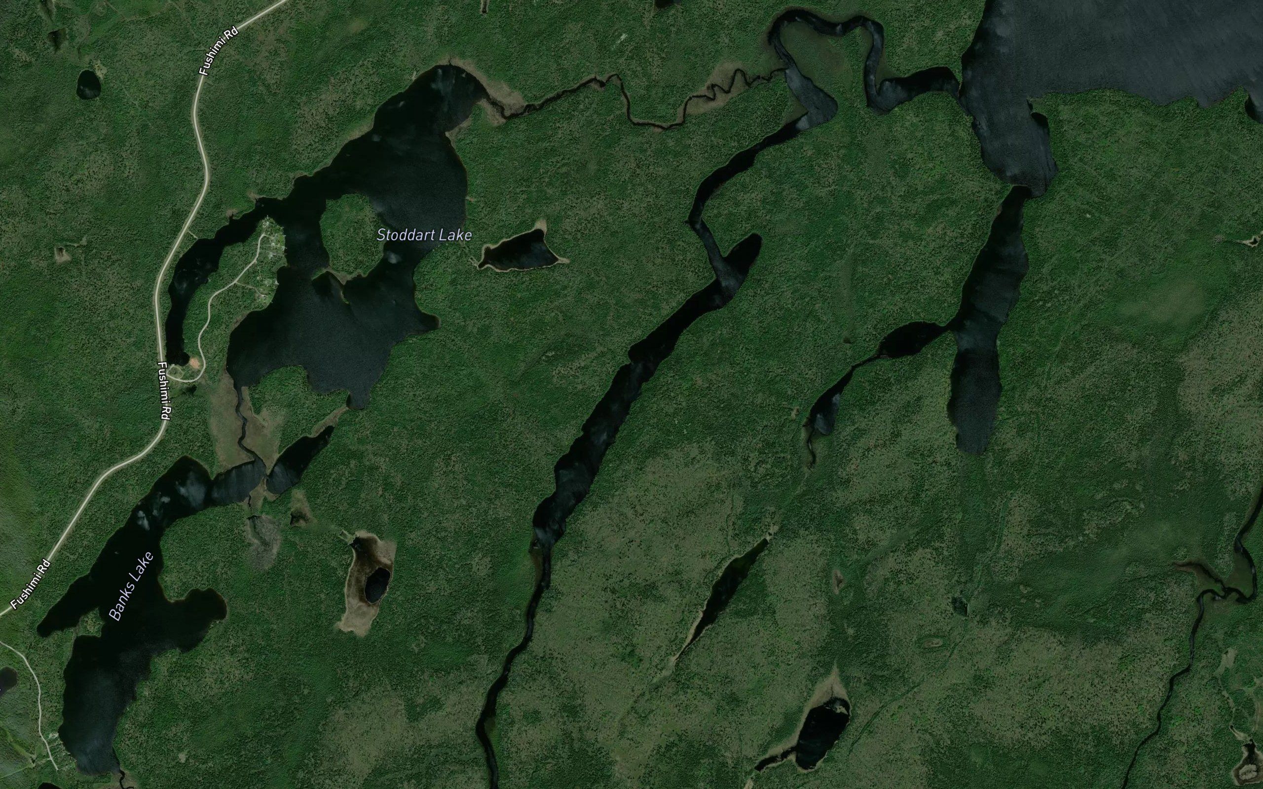 The Expansion