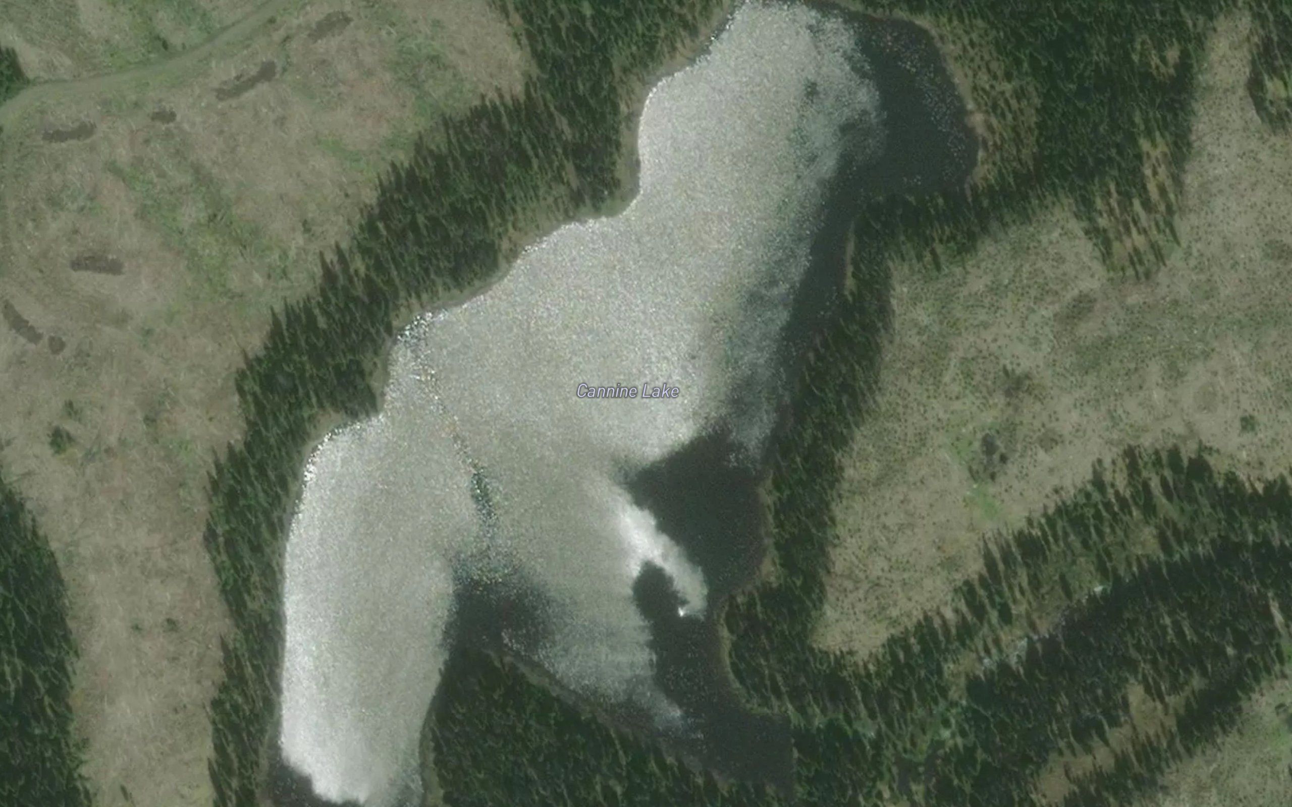 Cannine Lake