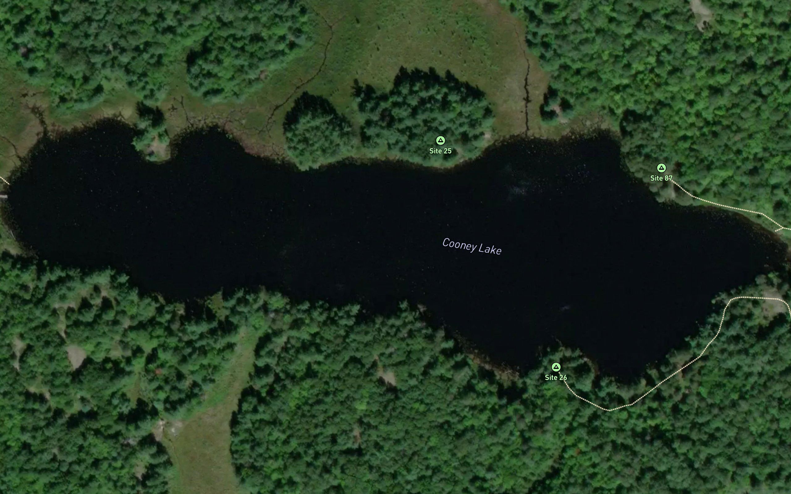 Cooney Lake