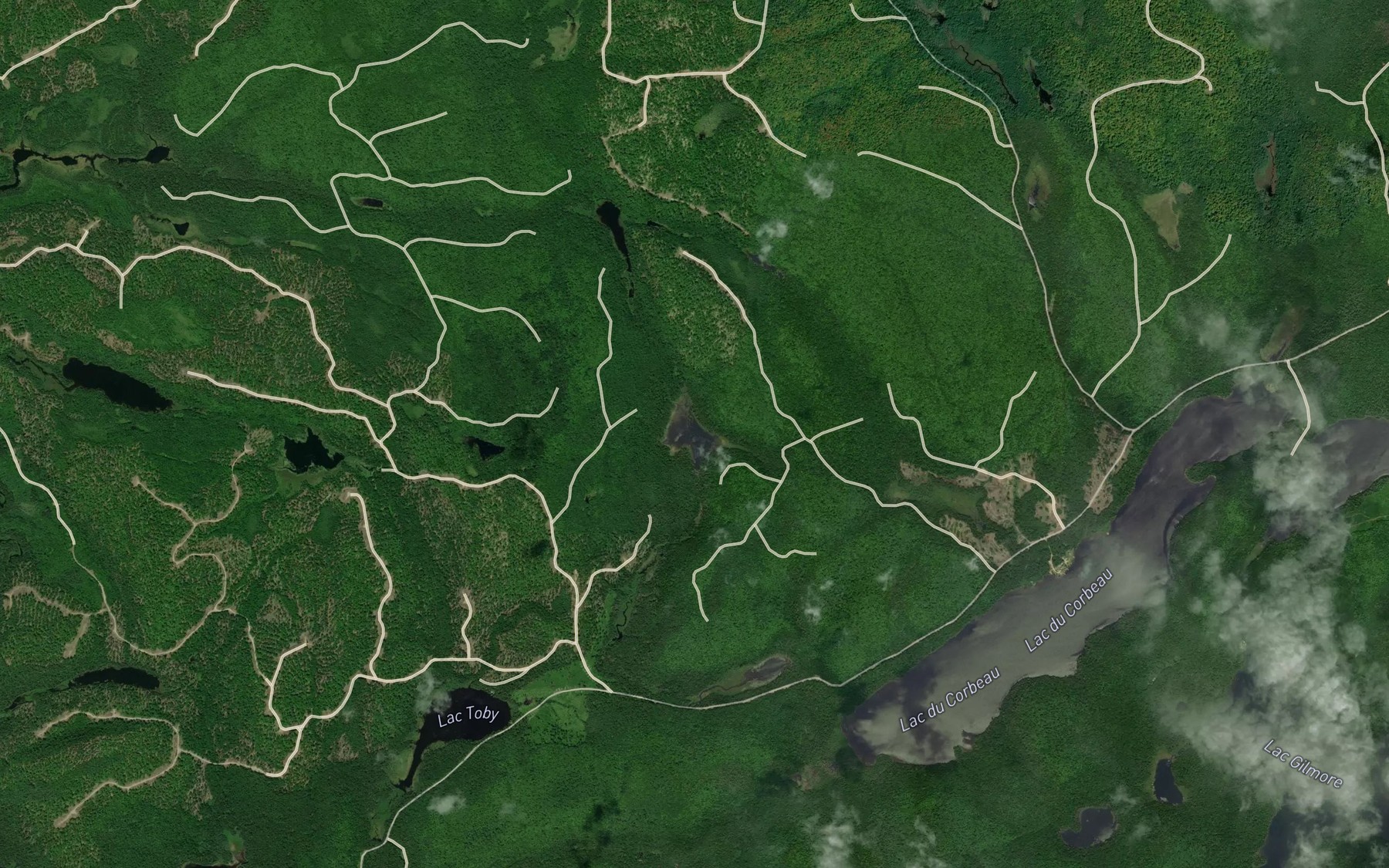 Satellite map of the Lac du Rocher