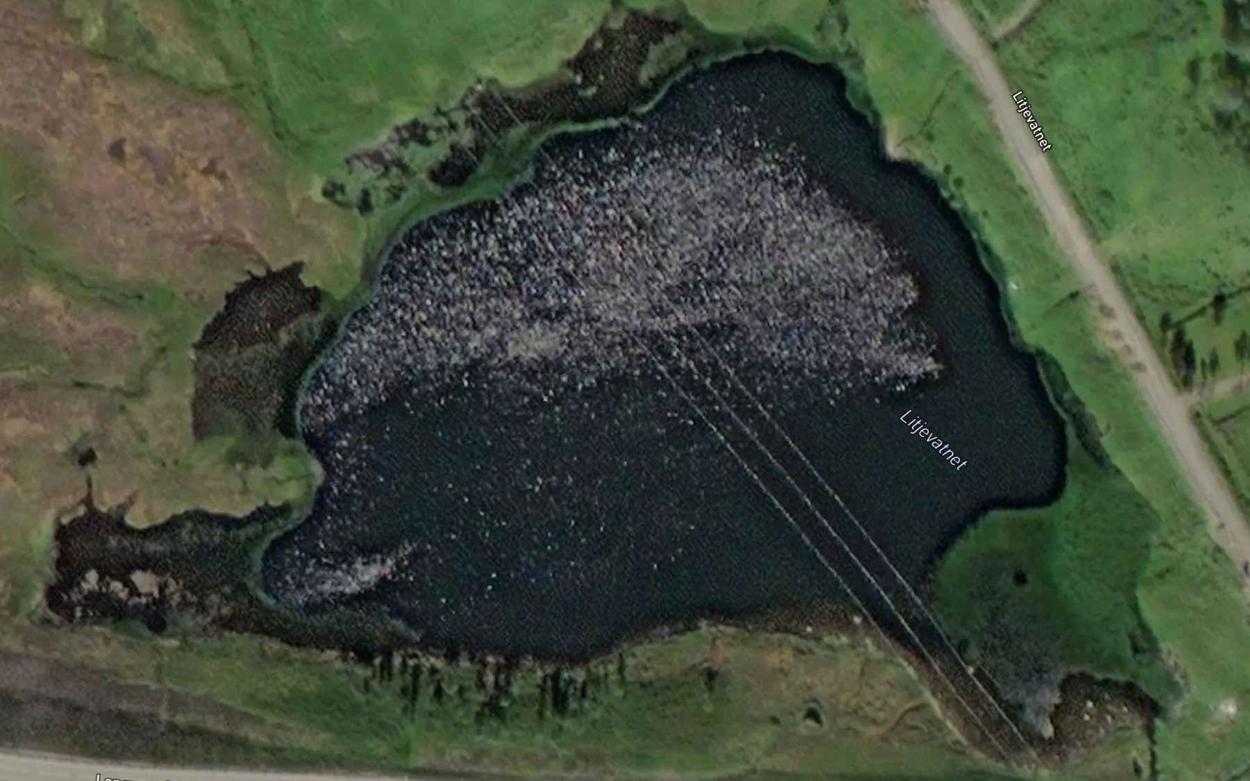 Satellite map of the Litjevatnet