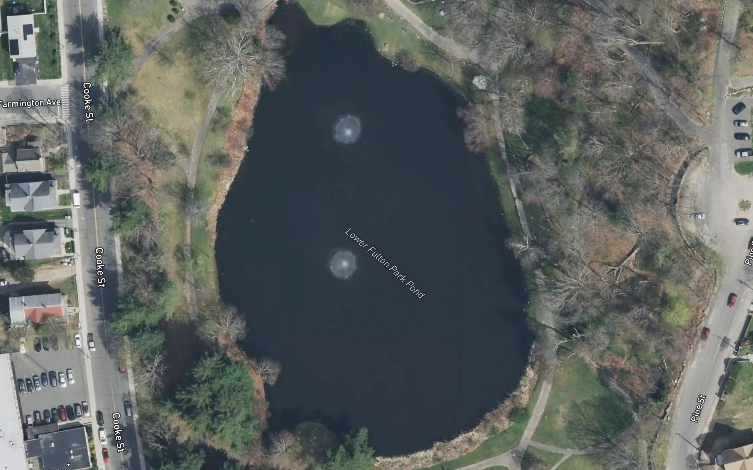 Lower Fulton Park Pond