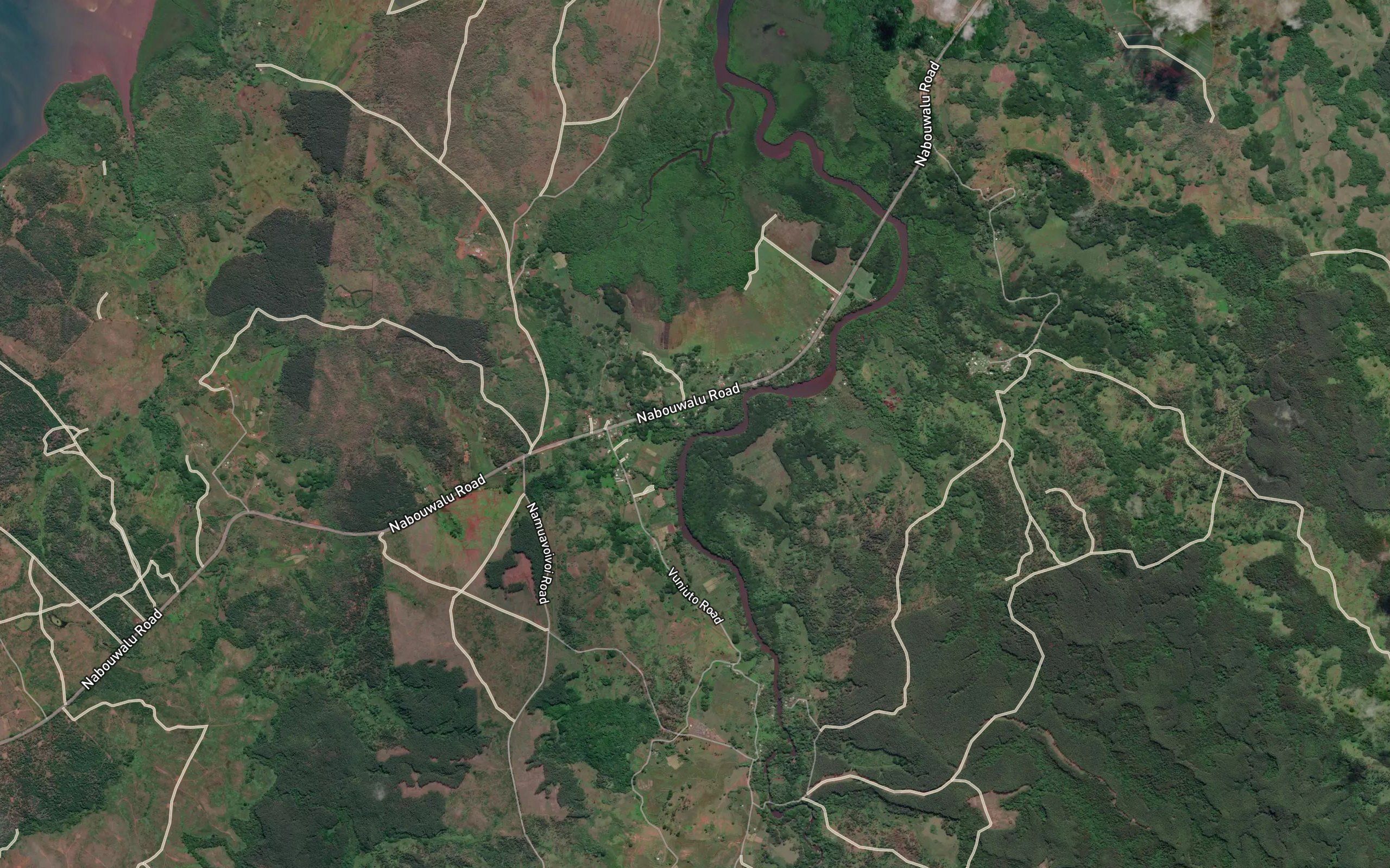 Korovai