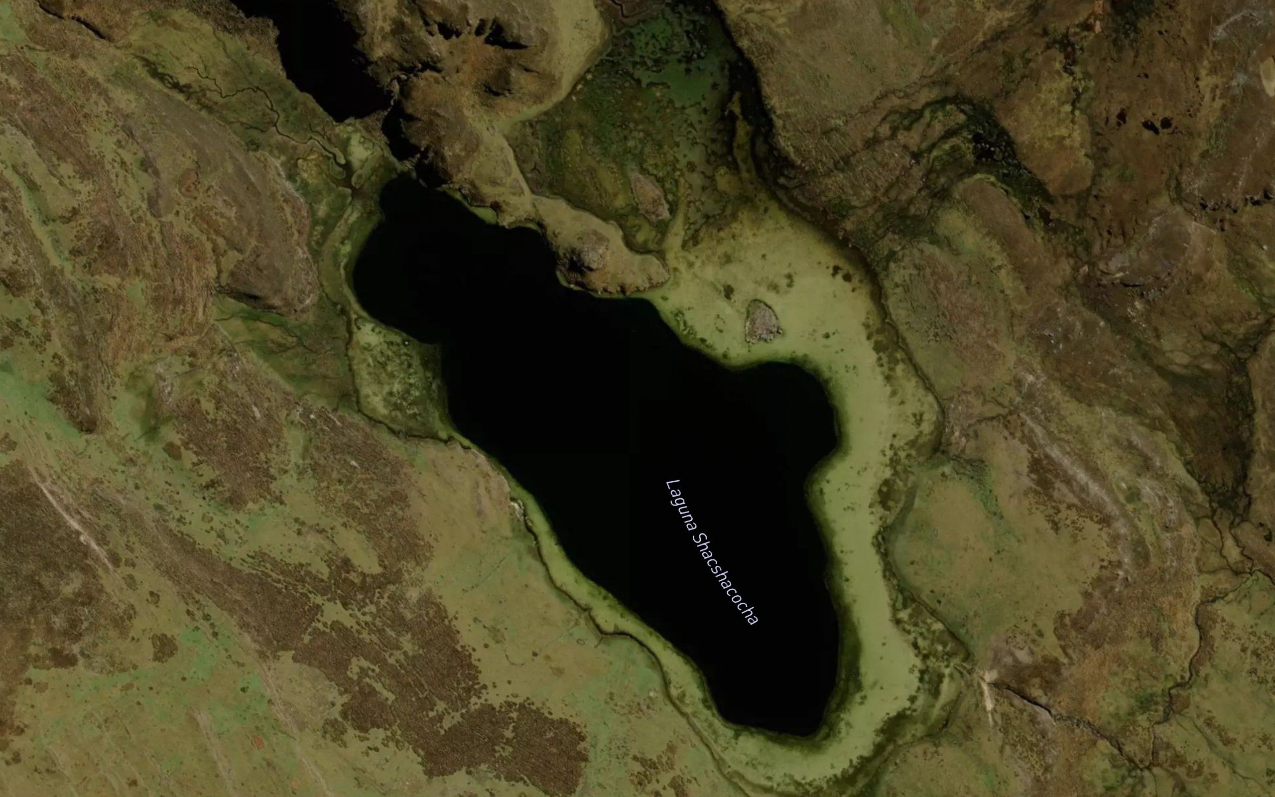Laguna Shacshacocha
