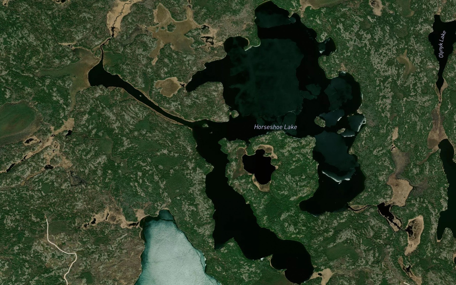 Satellite map of the Horseshoe Lake