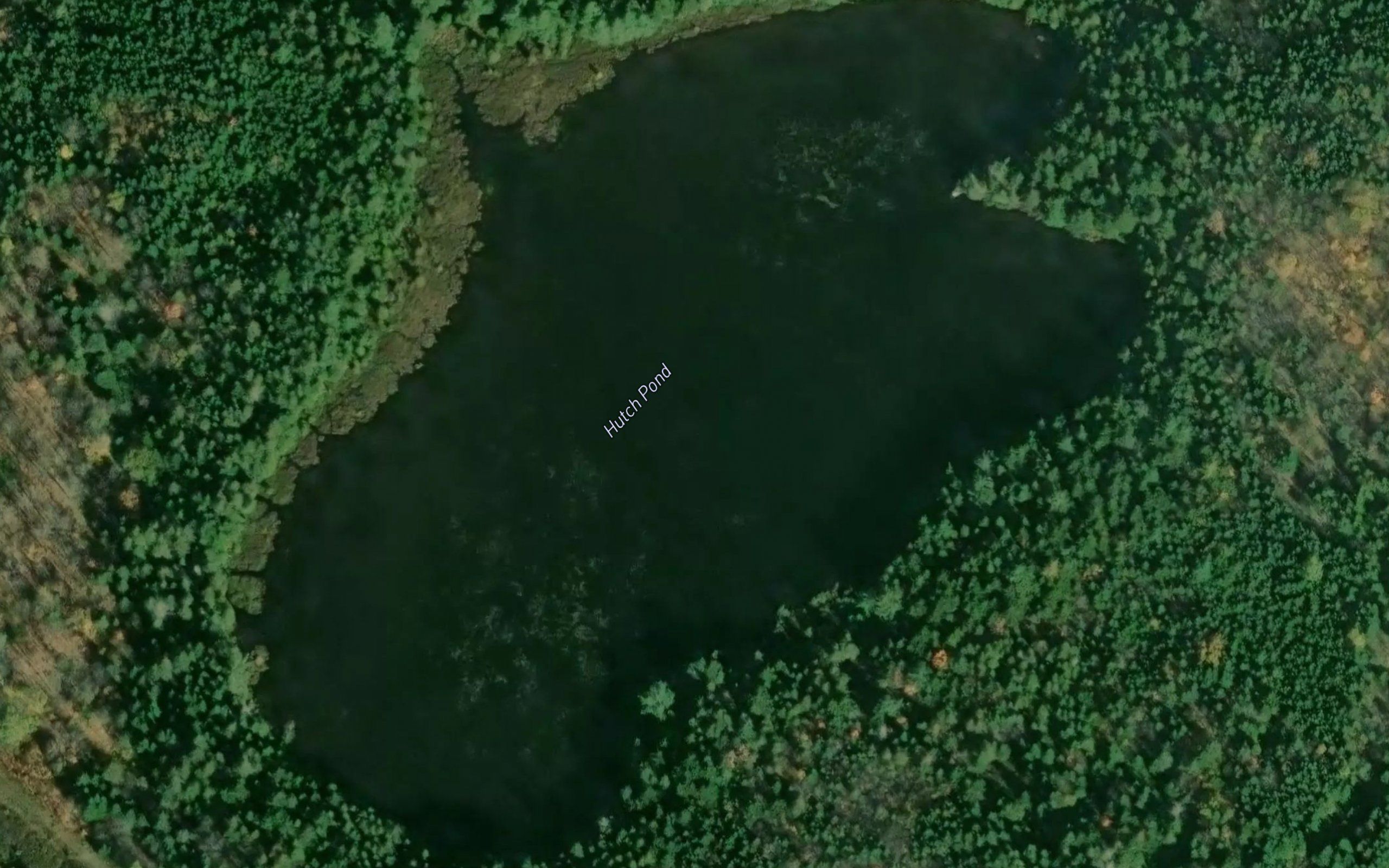 Hutch Pond