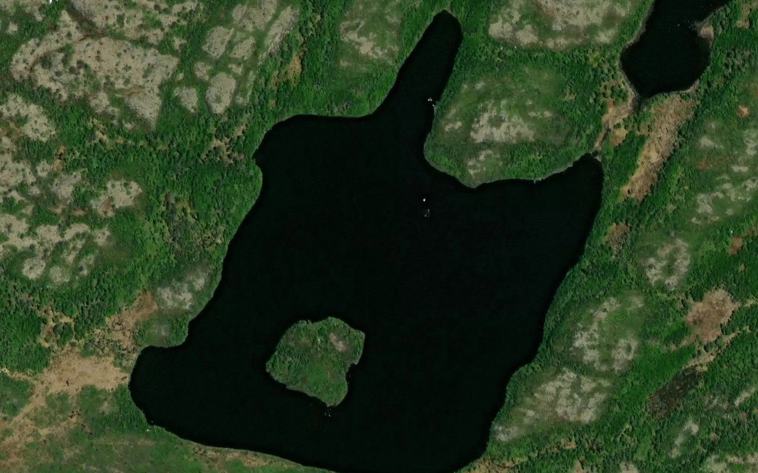 Burgess Head Pond