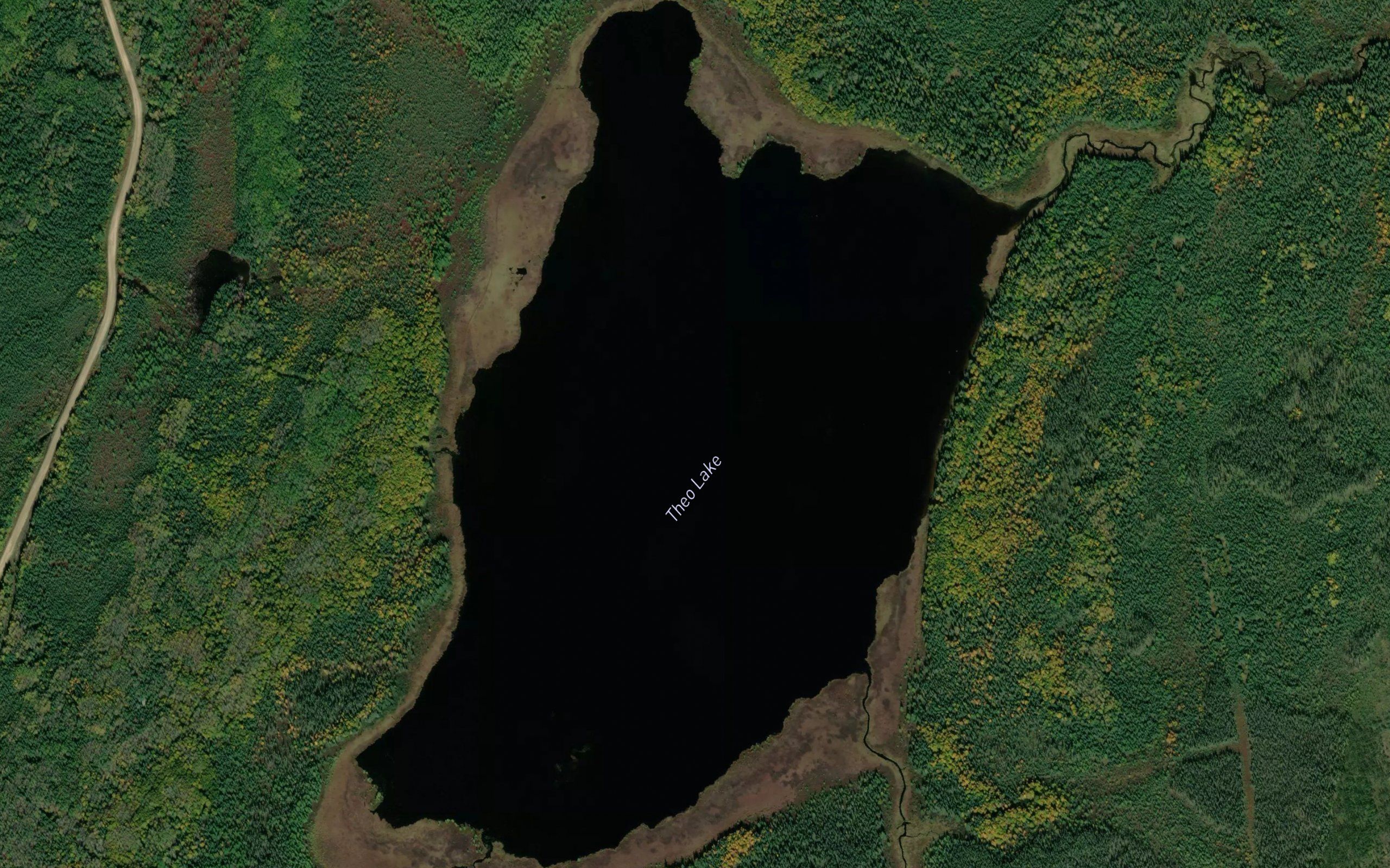 Theo Lake
