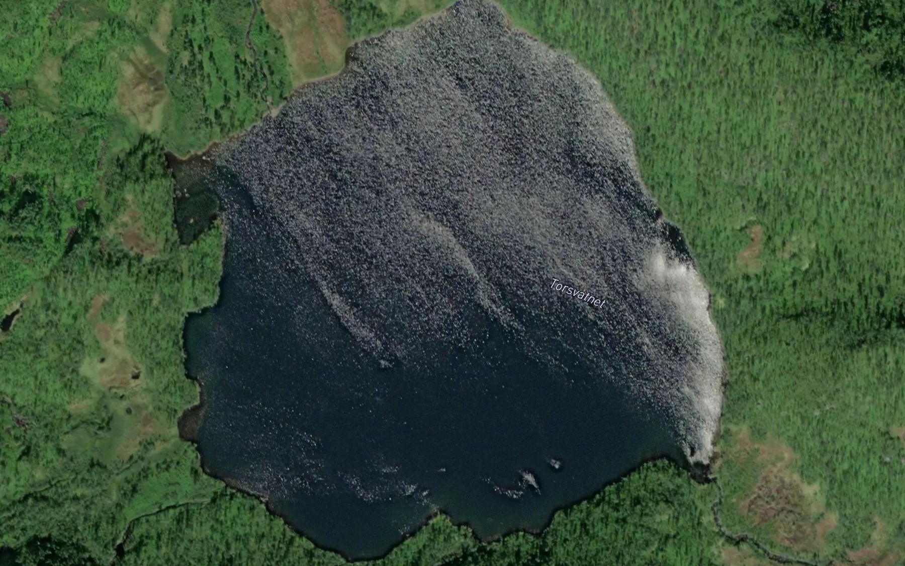 Satellite map of the Torsvatnet