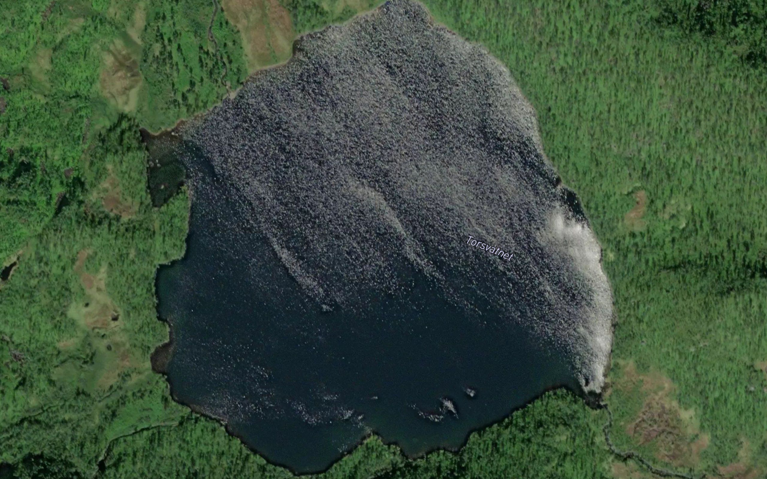 Torsvatnet