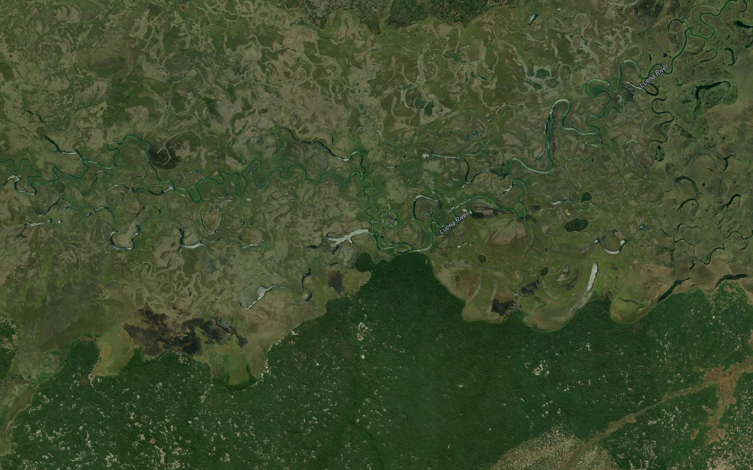 Mbuivi