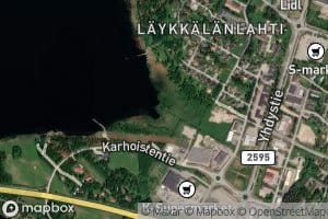 Pauninoja