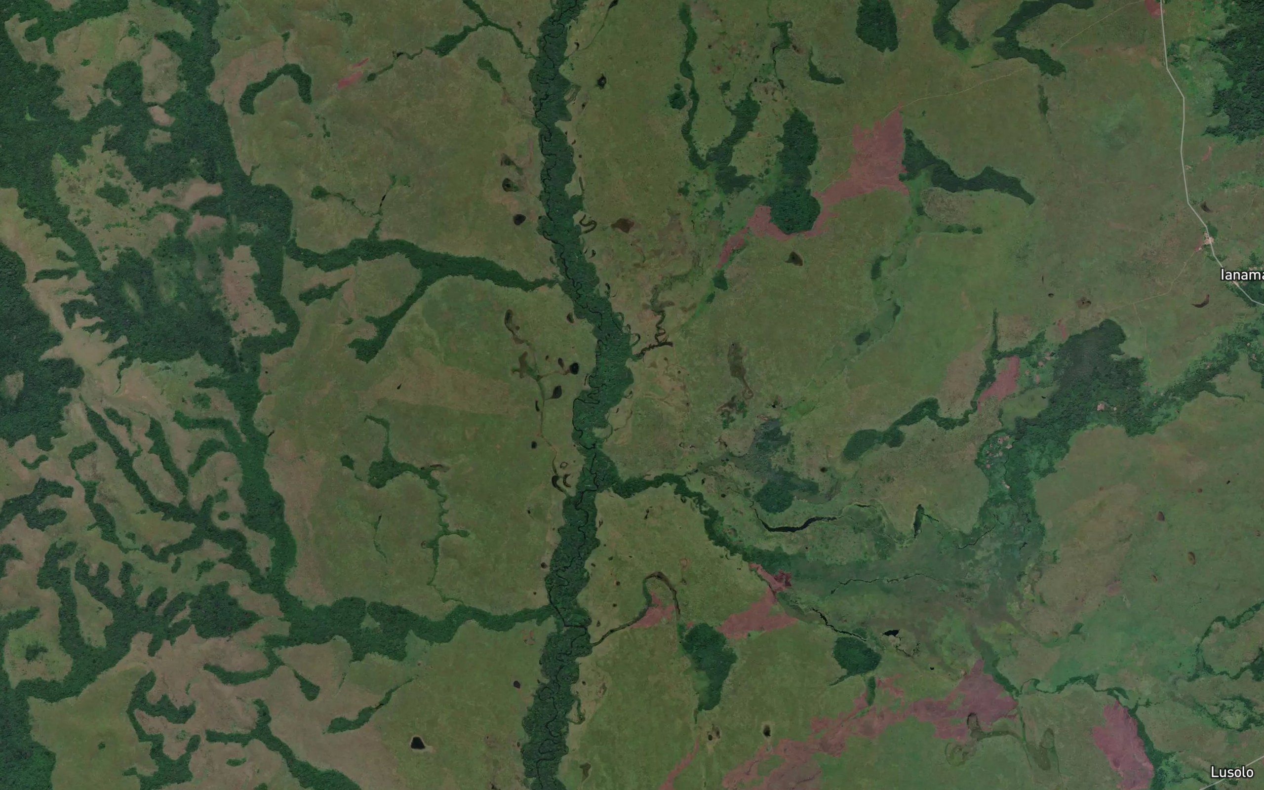 Cima