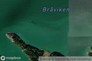 Braviken
