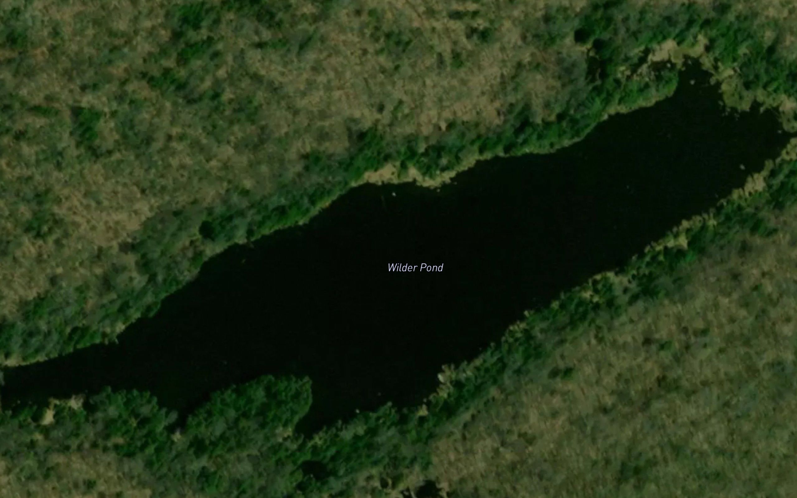 Wilder Pond