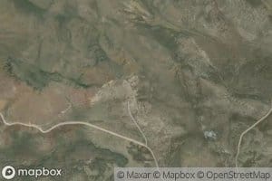 Ditch Spring