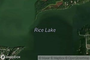 Rice Lake