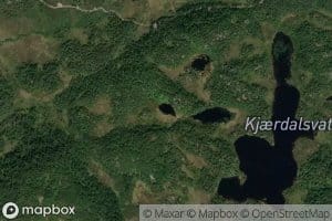 Kjaerdalstjodna