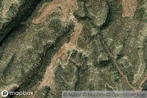 Pine Spring