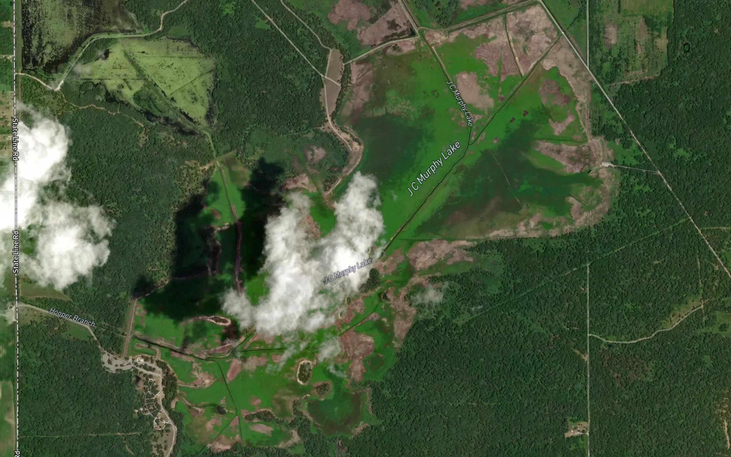 J C Murphey Lake