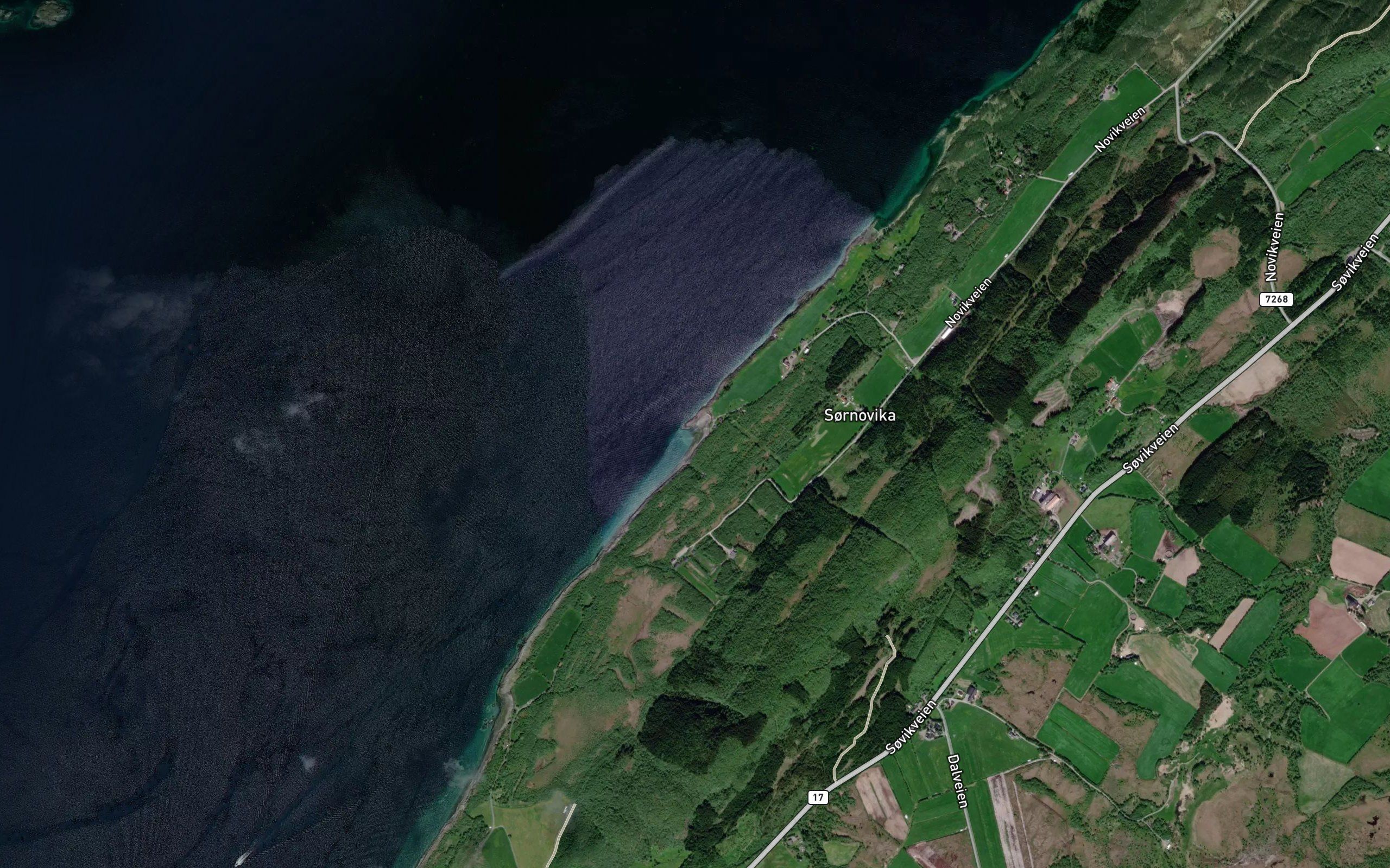 Tingvika