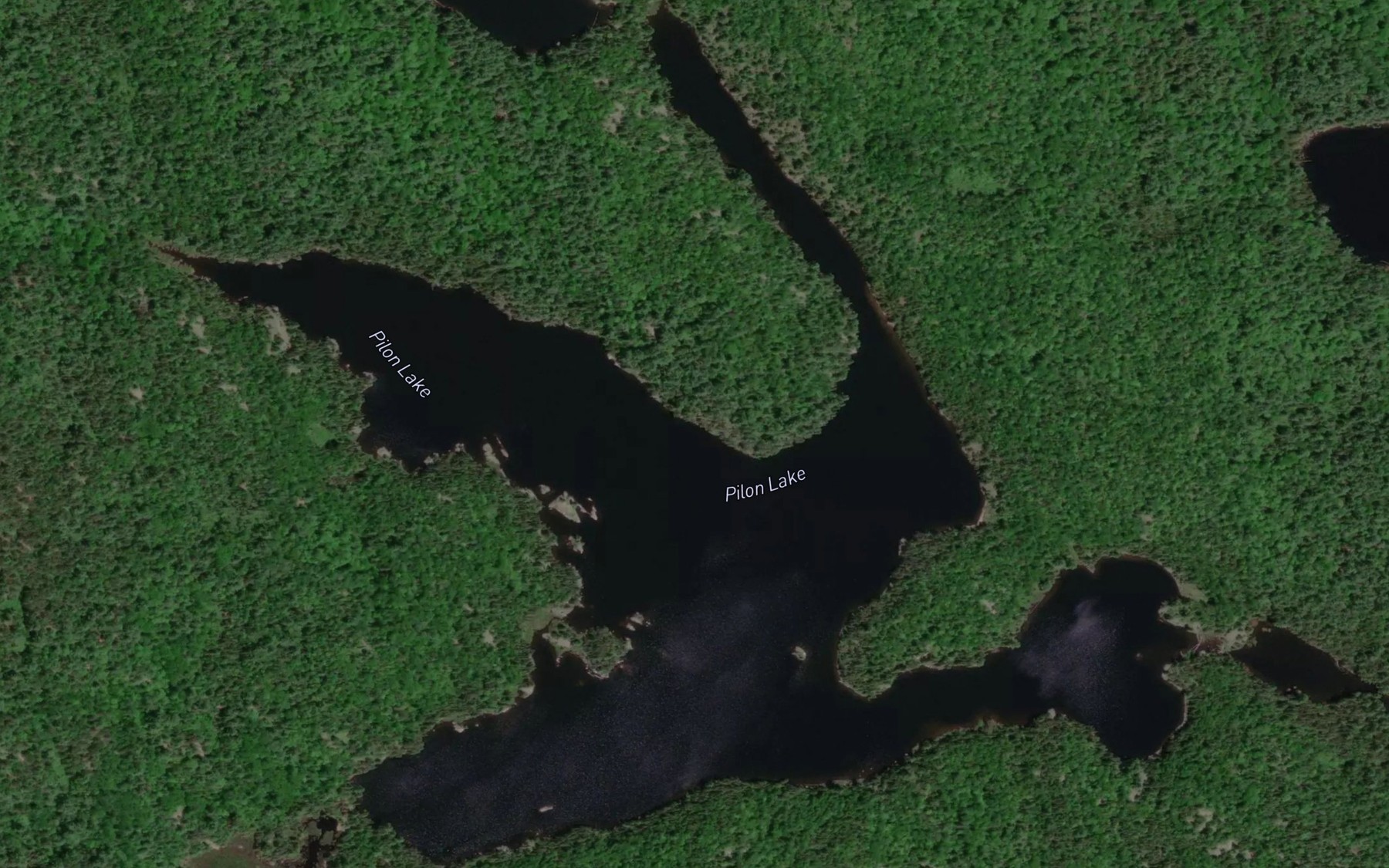 Satellite map of the Pilon Lake