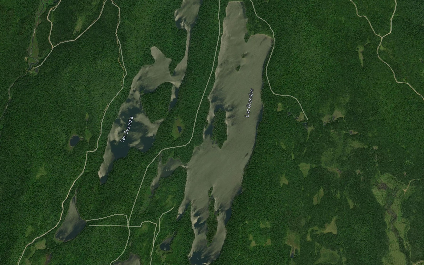 Satellite map of the Lac Grandive