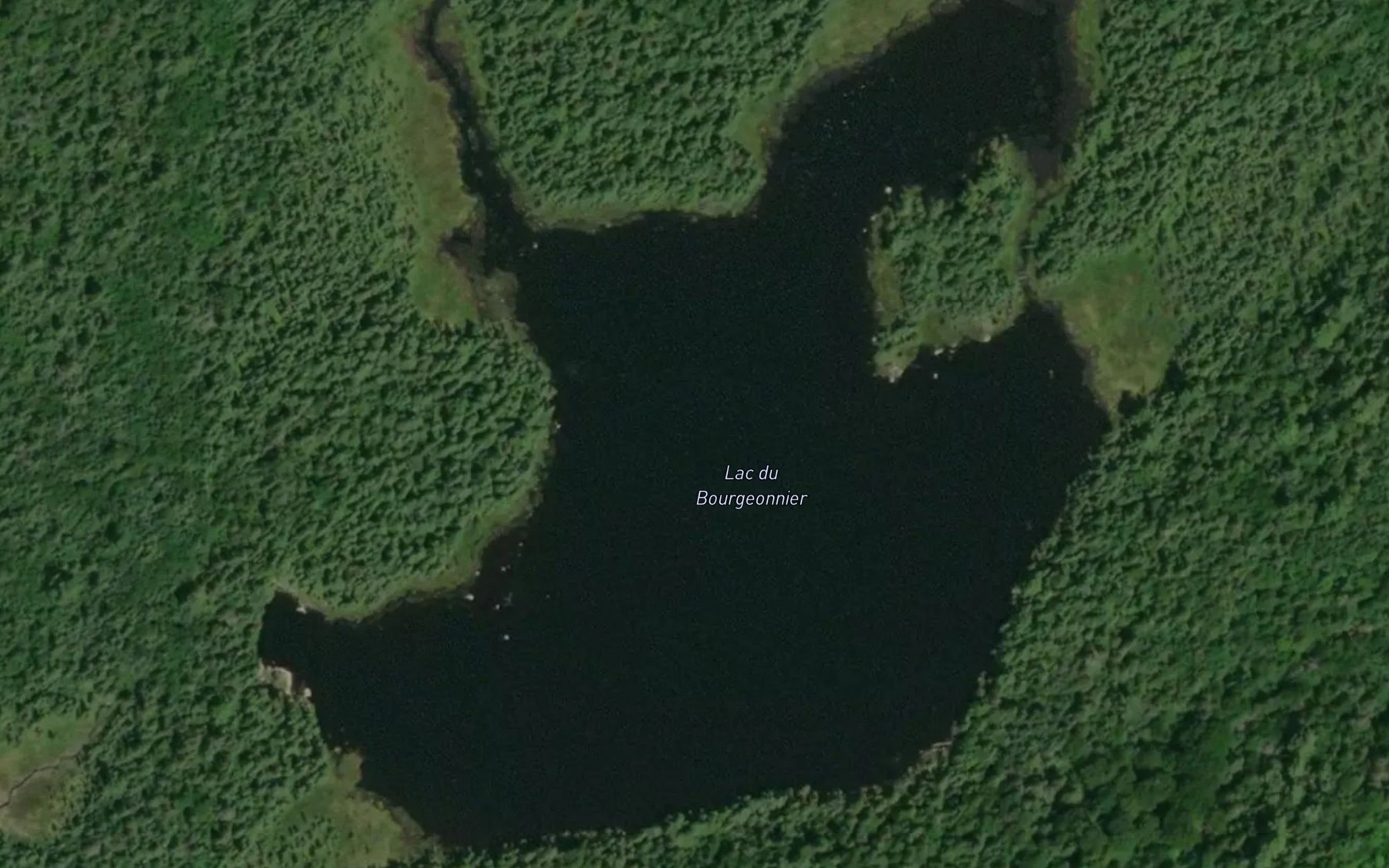 Satellite map of the Lac du Bourgeonnier