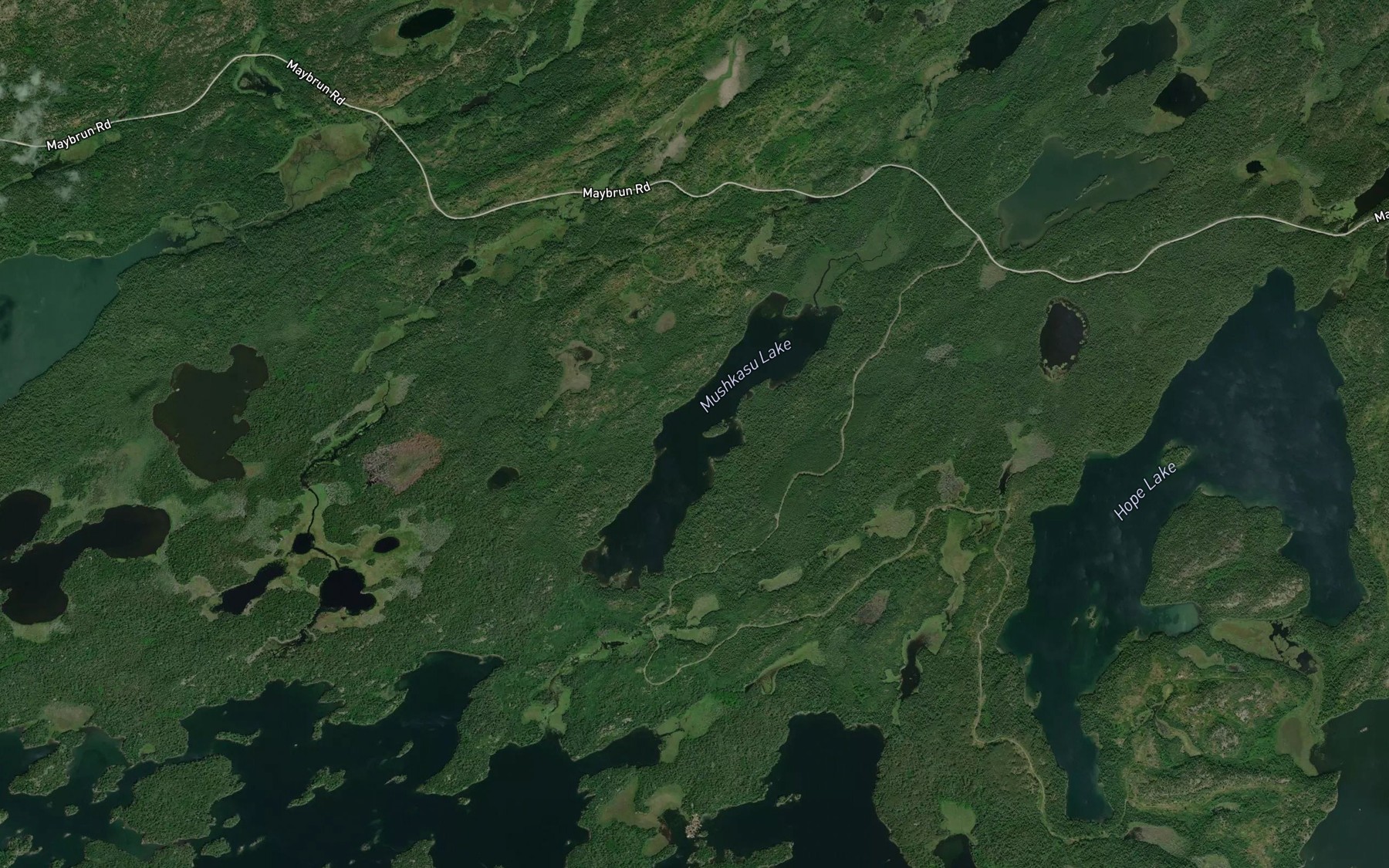 Satellite map of the Mushkasu Lake