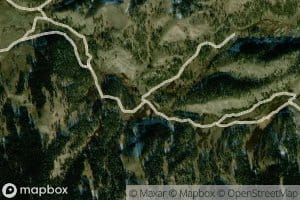 Little Bear Paw Fork