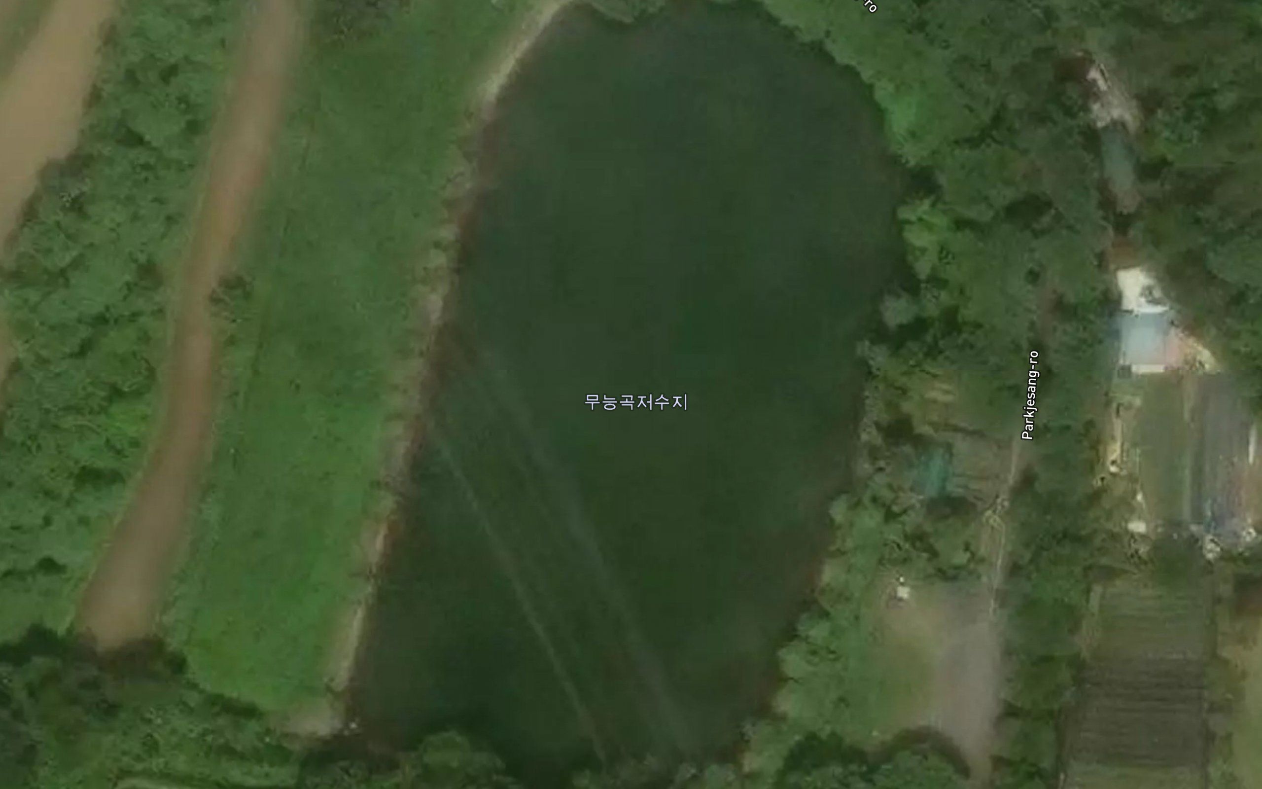 Dangsanmot