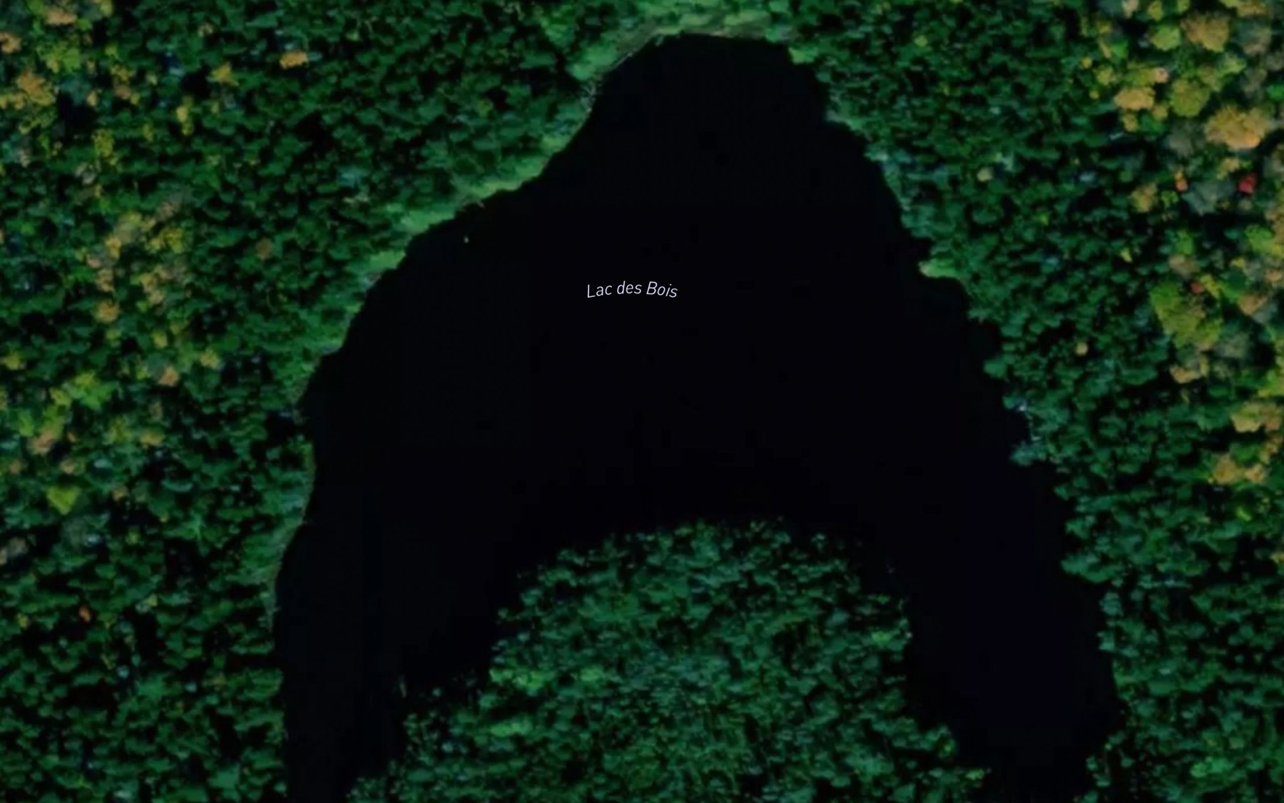 Satellite map of the Lac des Bois