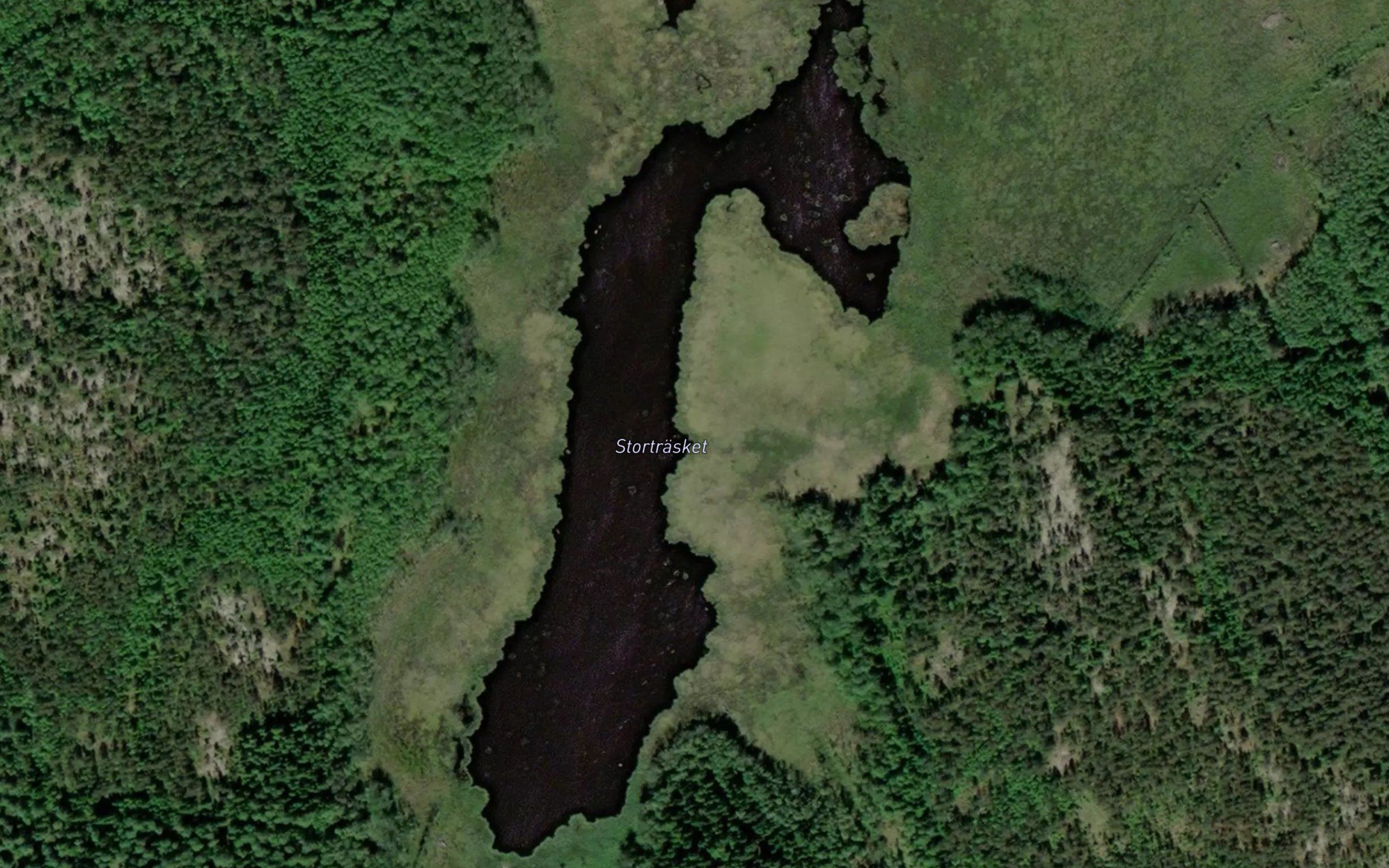 Stortrasket