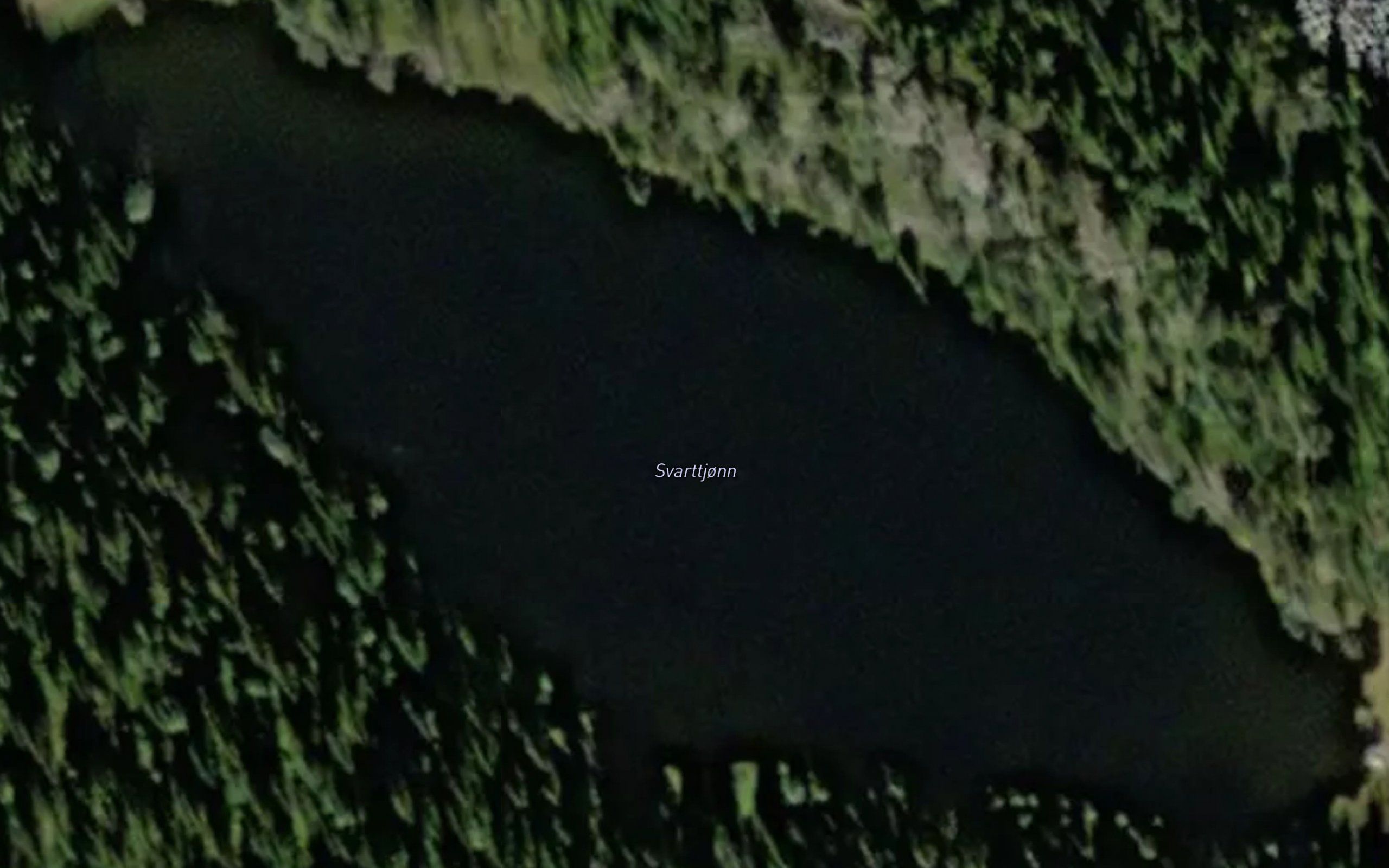 Svarttjonn