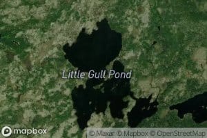 Little Gull Pond