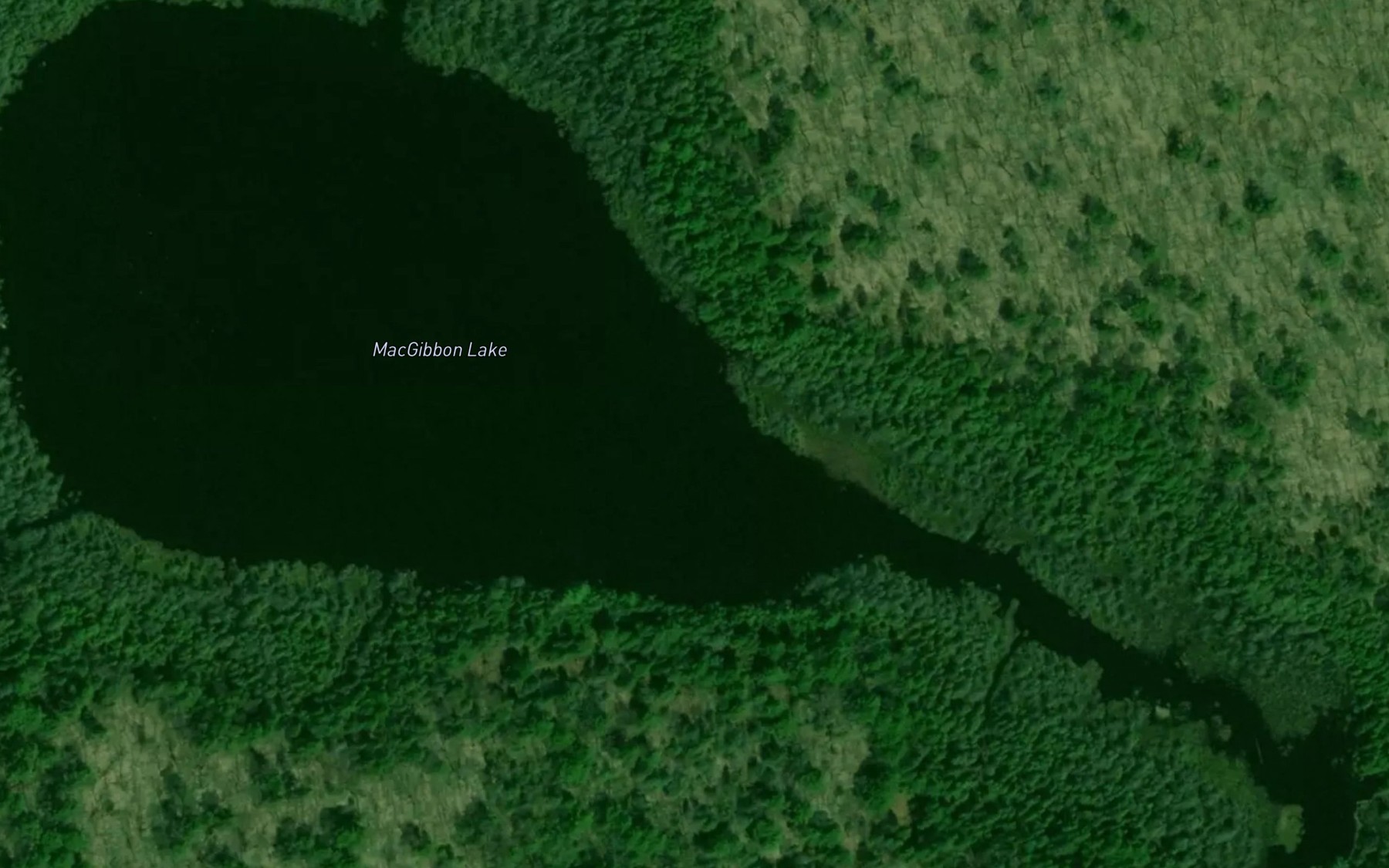 Satellite map of the MacGibbon Lake