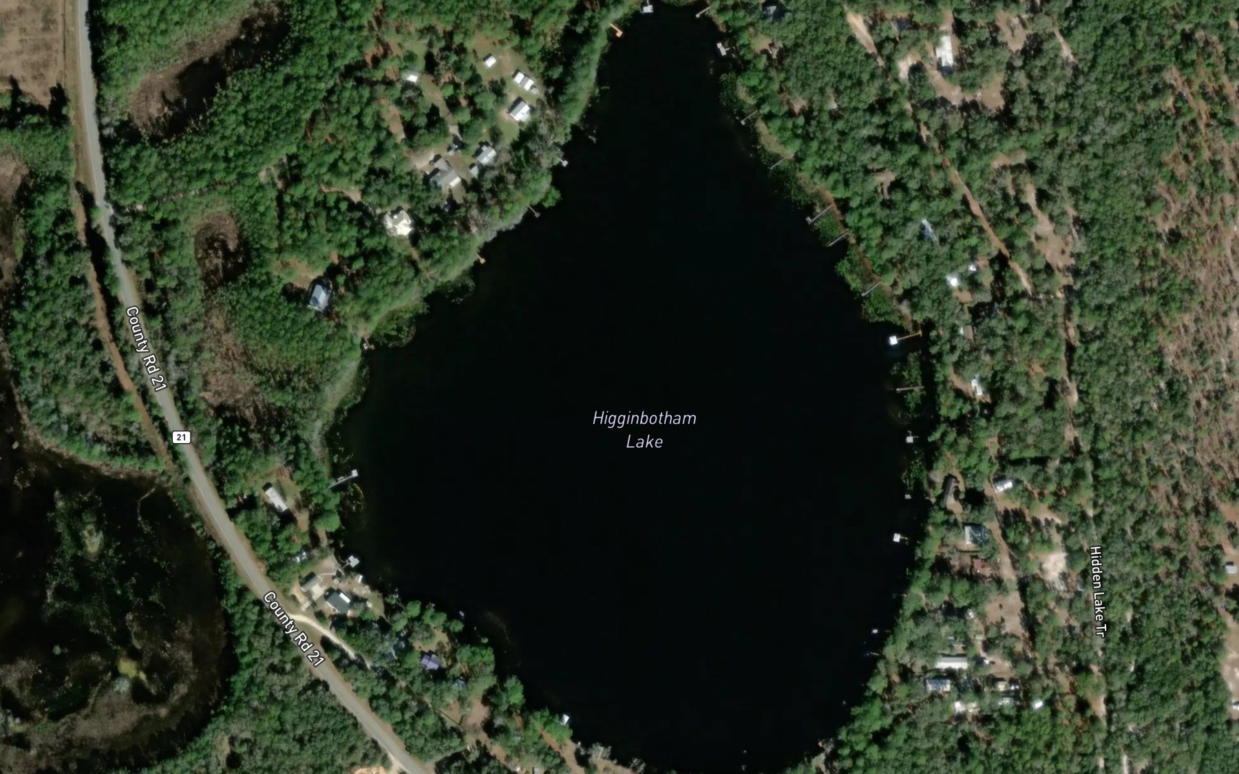 Satellite map of the Higginbotham Lake
