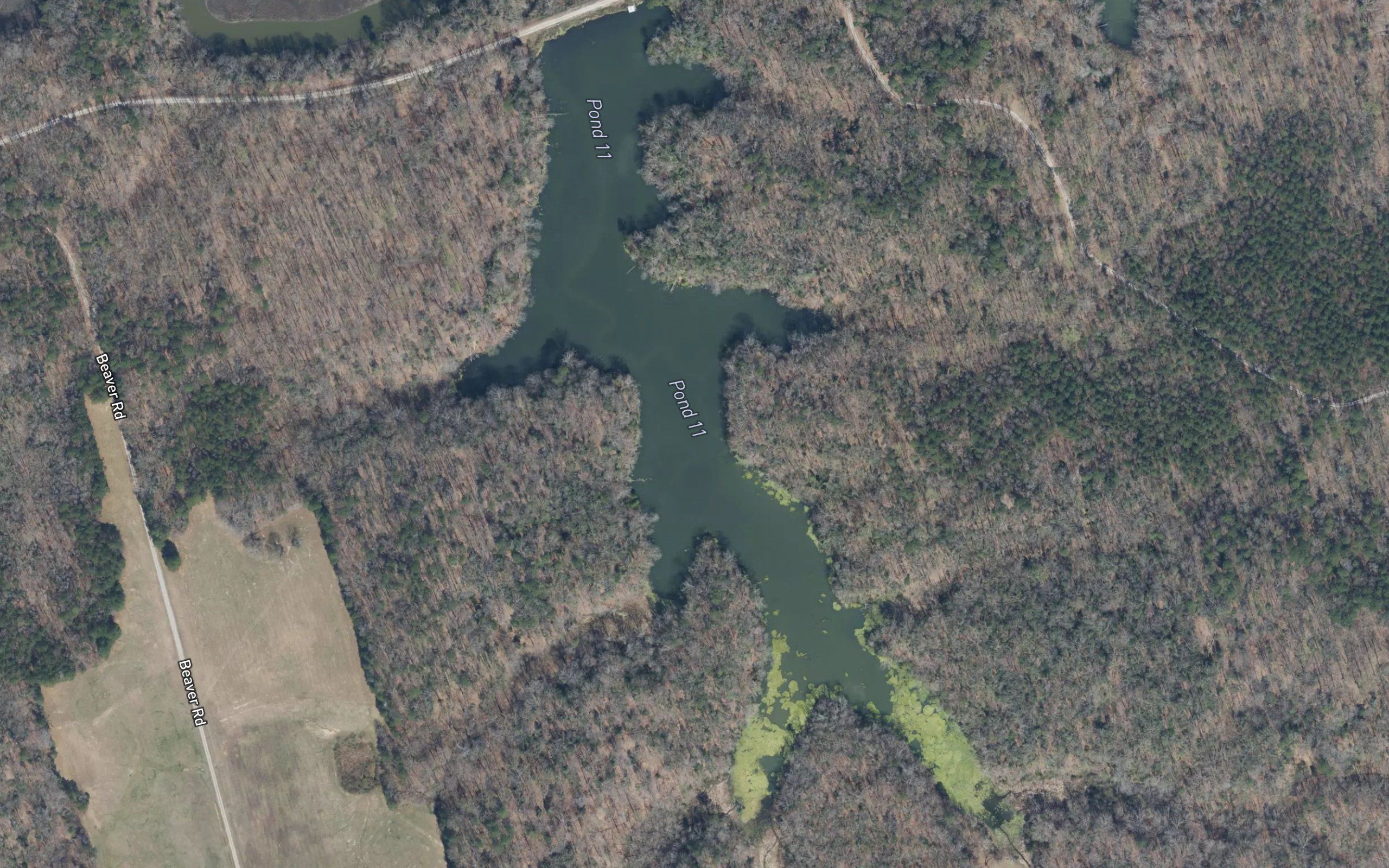 Pond Number 11