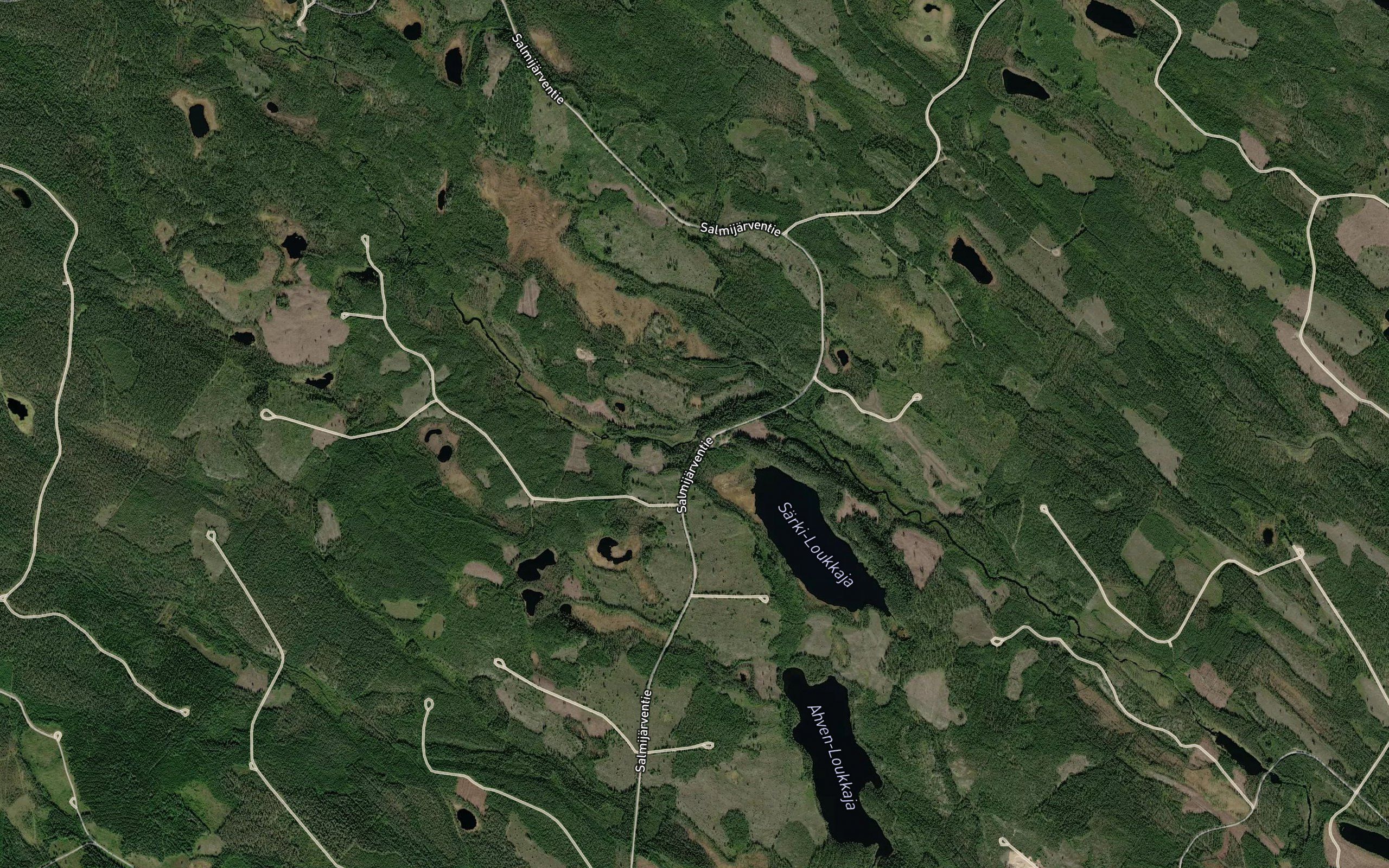 Kaatiopuro