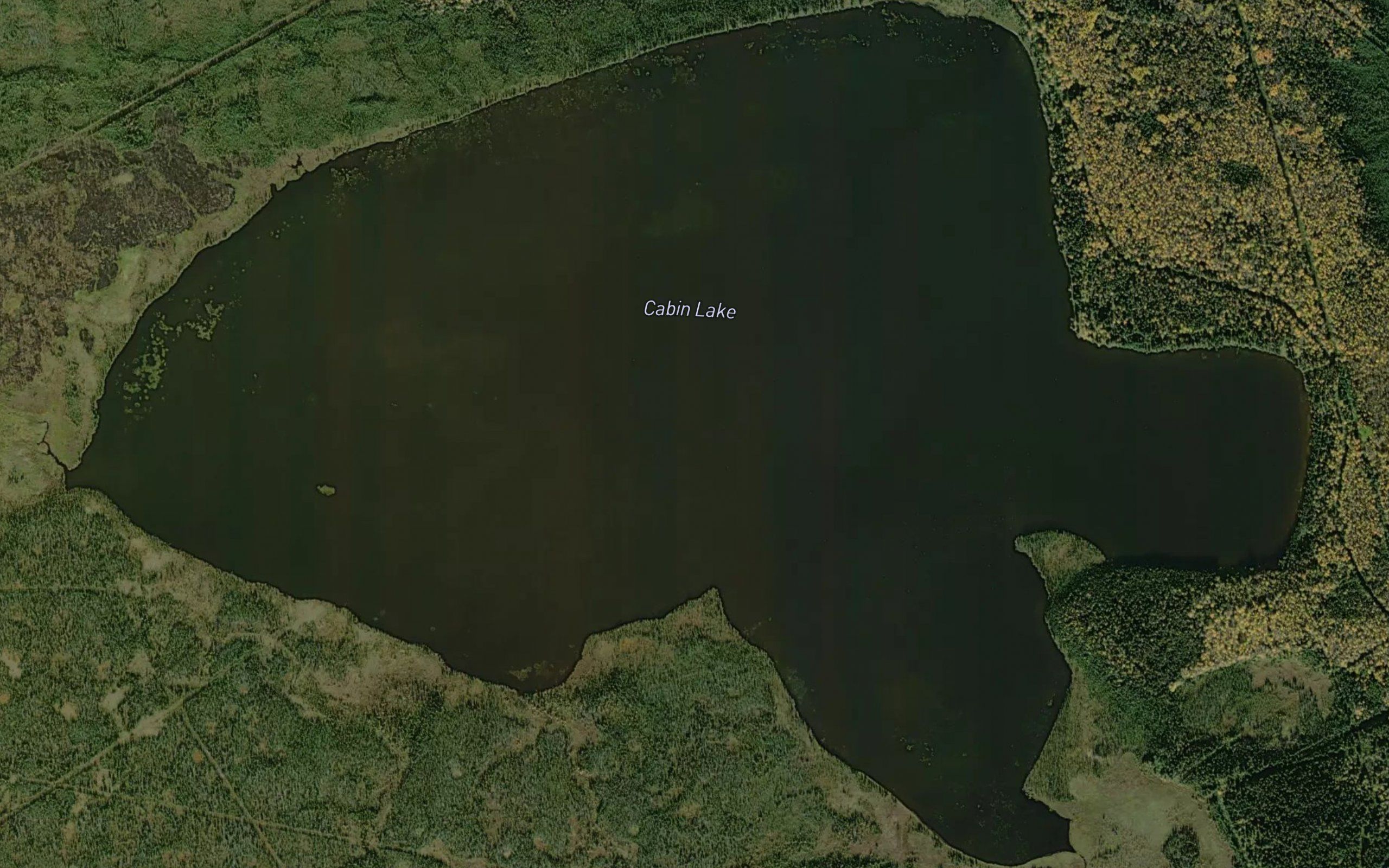 Cabin Lake