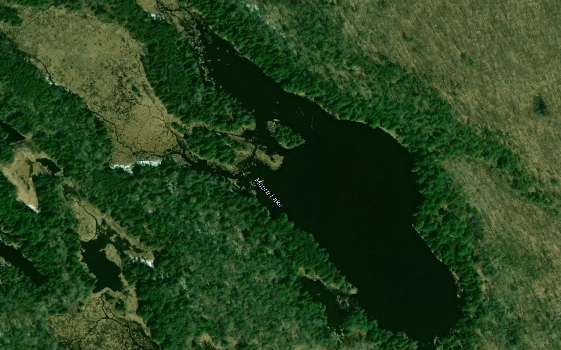 Satellite map of the Moore Lake